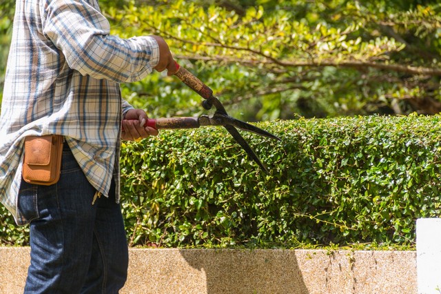 Garden Maintenance Harold Wood, Harold Hill, Noak Hill, RM3